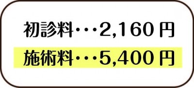 初診料・施術料